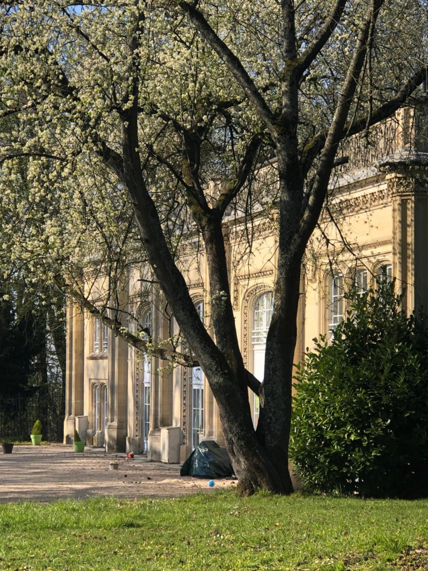 Les Ecuries Du Chateau Boissy-Saint-Léger Exterior foto